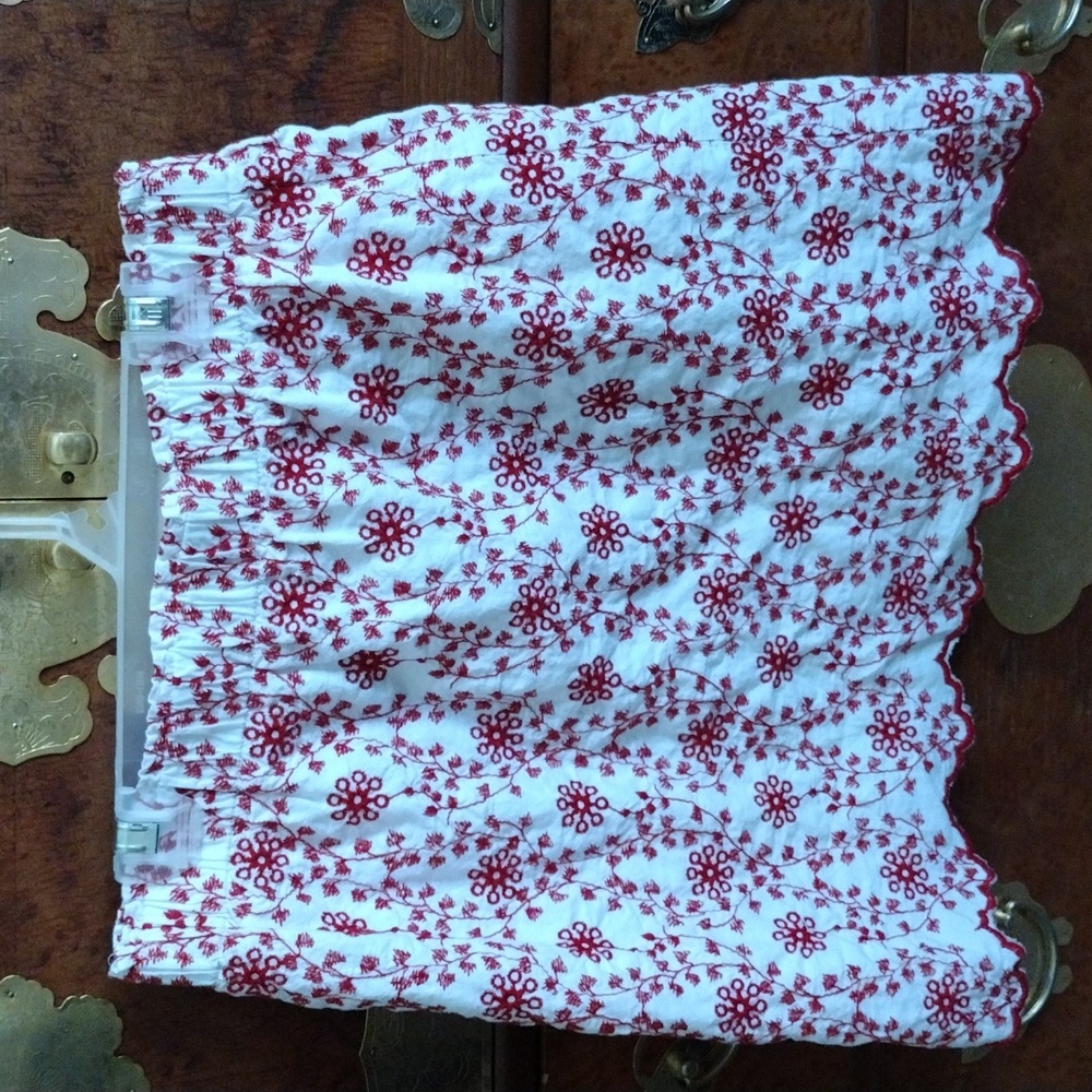 Francesca's Collection embroidered skirt